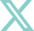 x icon